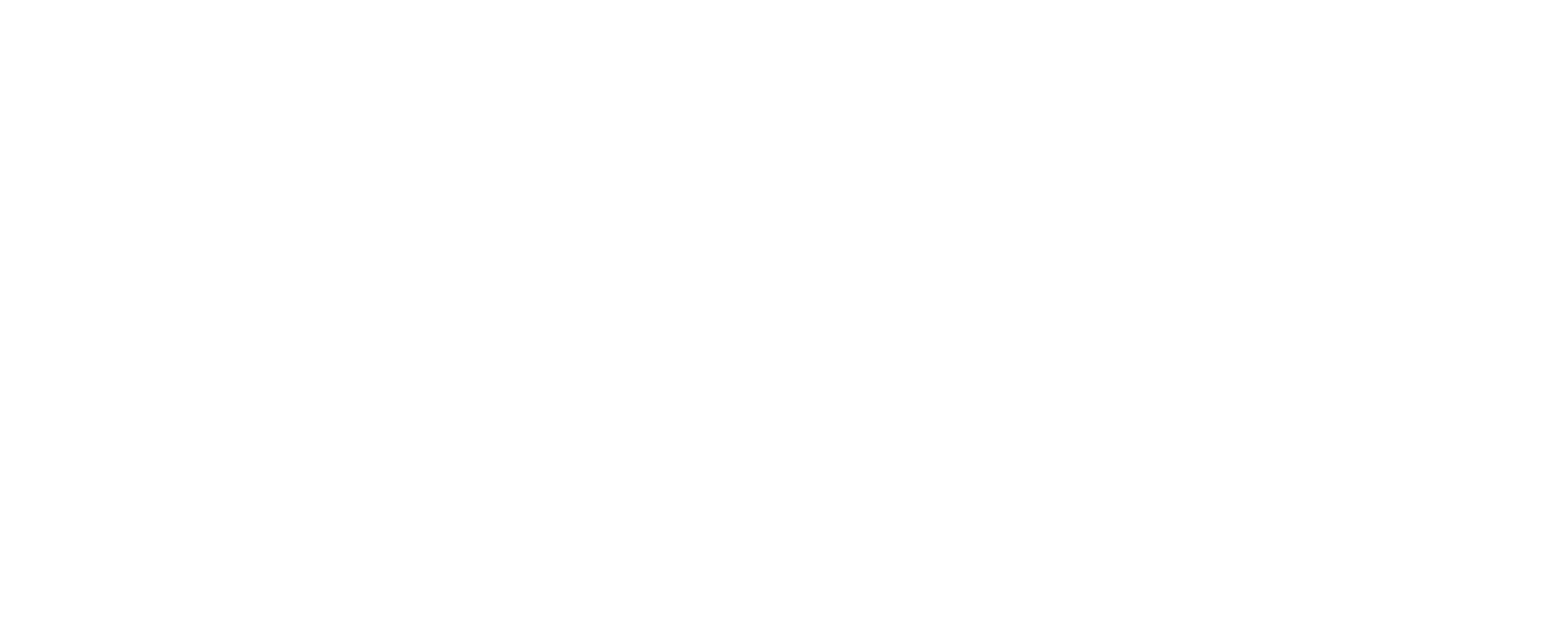 prodys 07